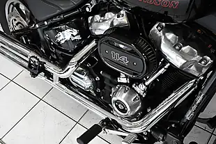 Used 2024 Harley-Davidson Softail Standard Black - Interior and Exterior details 3
