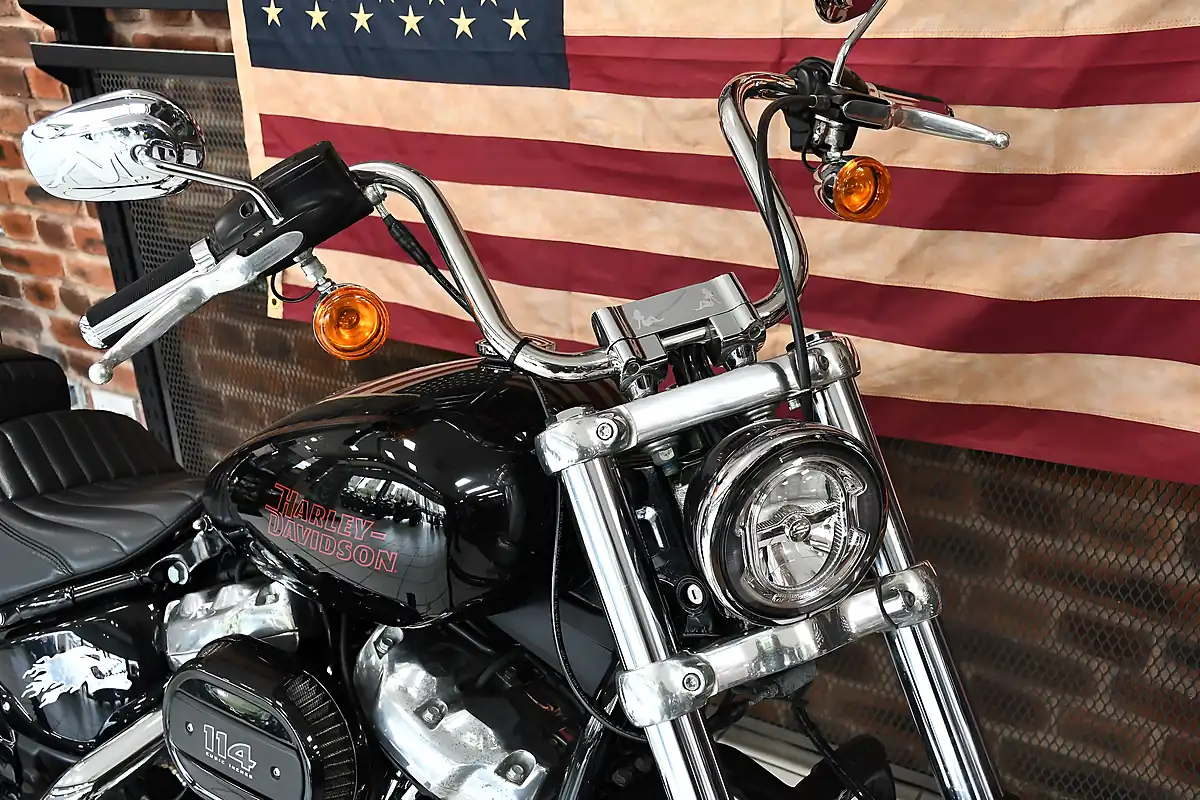 Used 2024 Harley-Davidson Softail Standard Black - Interior and Exterior details 5