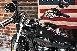 Used 2024 Harley-Davidson Softail Standard Black - Interior and Exterior details 8