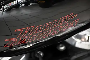 Used 2024 Harley-Davidson Softail Standard Black - Interior and Exterior details 9