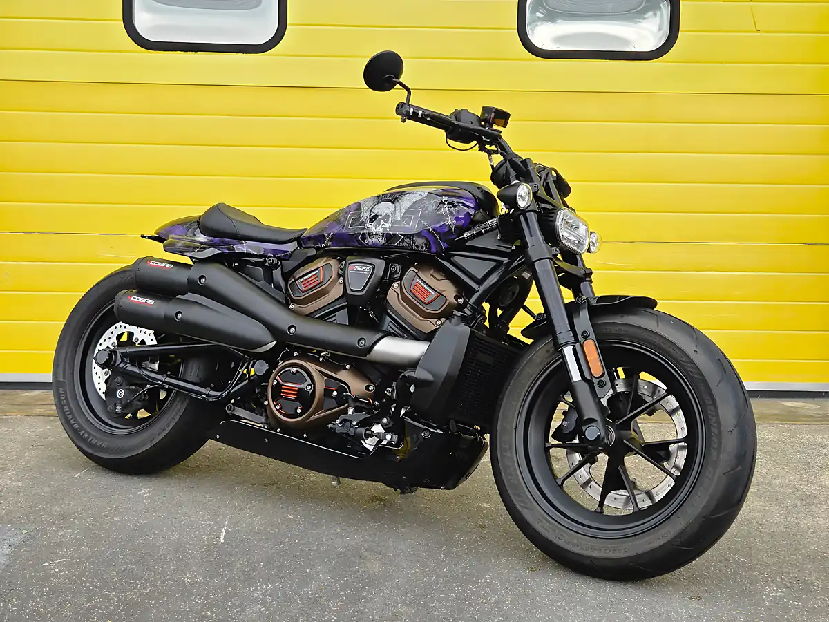 Used 2024 Harley-Davidson Sportster Purple - Front View