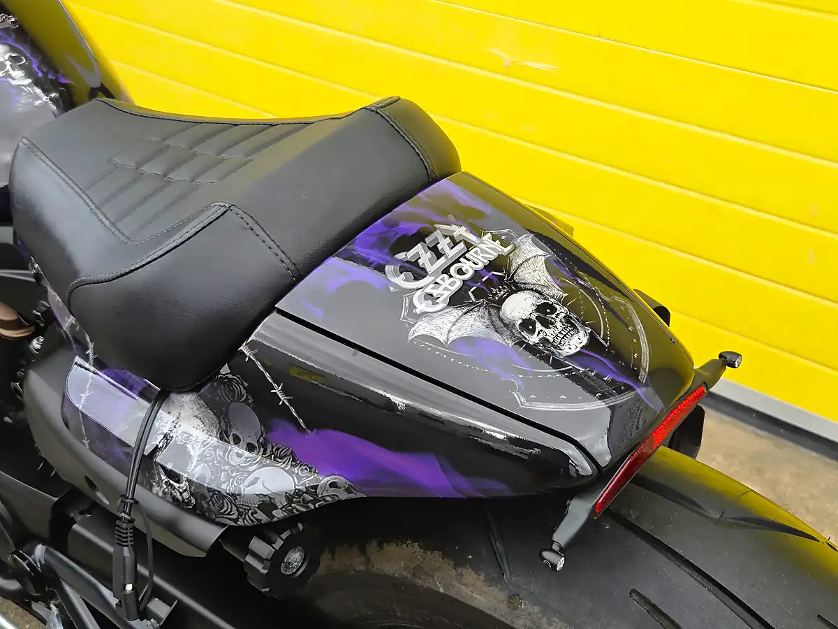 Used 2024 Harley-Davidson Sportster Purple - Interior and Exterior details 11