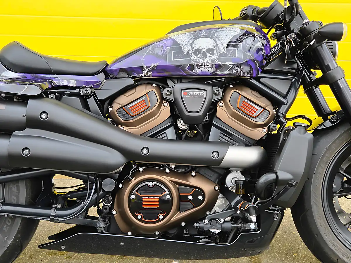 Used 2024 Harley-Davidson Sportster Purple - Interior and Exterior details 13