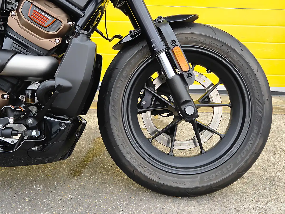 Used 2024 Harley-Davidson Sportster Purple - Interior and Exterior details 14