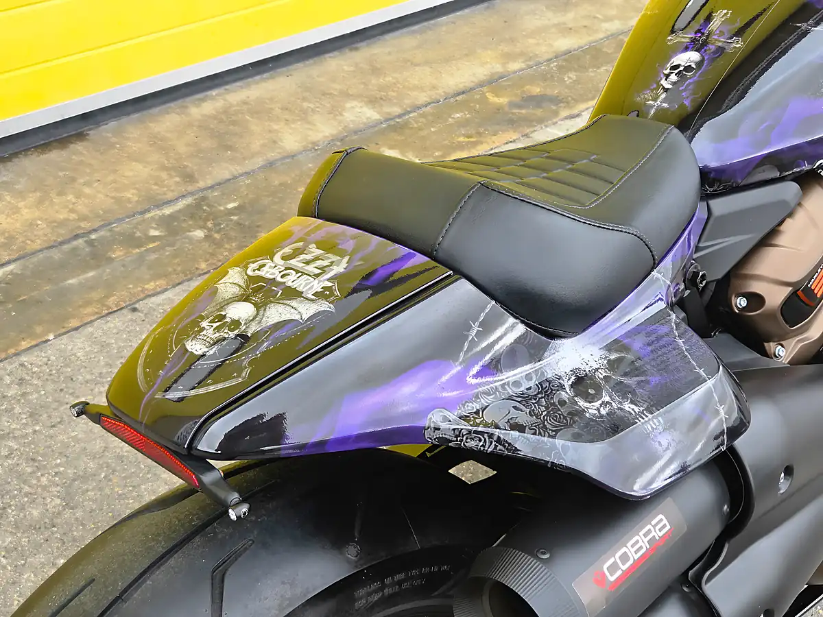 Used 2024 Harley-Davidson Sportster Purple - Interior and Exterior details 17