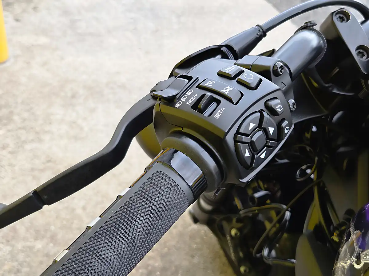 Used 2024 Harley-Davidson Sportster Purple - Interior and Exterior details 19