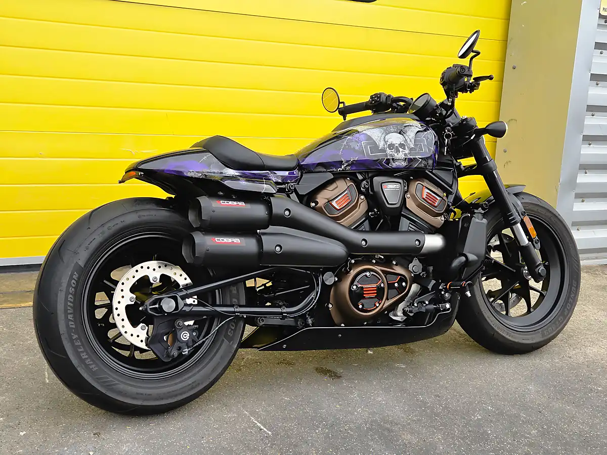Used 2024 Harley-Davidson Sportster Purple - Interior and Exterior details 4