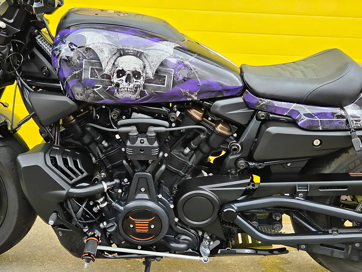 Used 2024 Harley-Davidson Sportster Purple - Interior and Exterior details 9