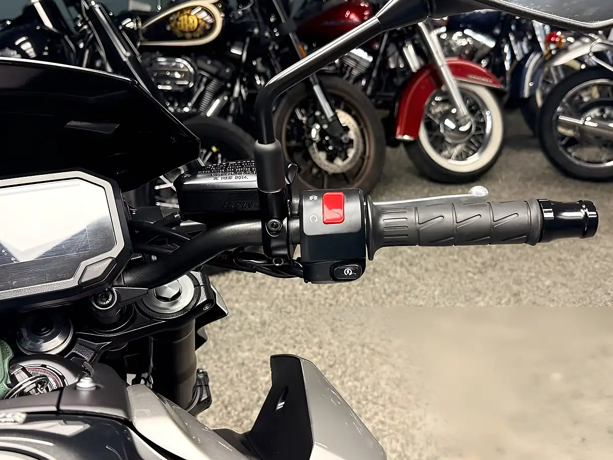 Used 2024 Kawasaki Z900 Performance Edition Silver - Interior and Exterior details 15