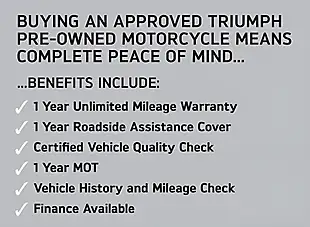 Used 2024 Triumph Speed Twin Classic Grey - Interior and Exterior details 3