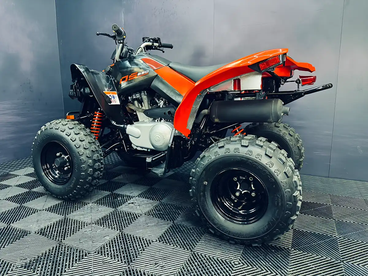 Used 2025 Can-Am DS 250 Red - Interior and Exterior details 10