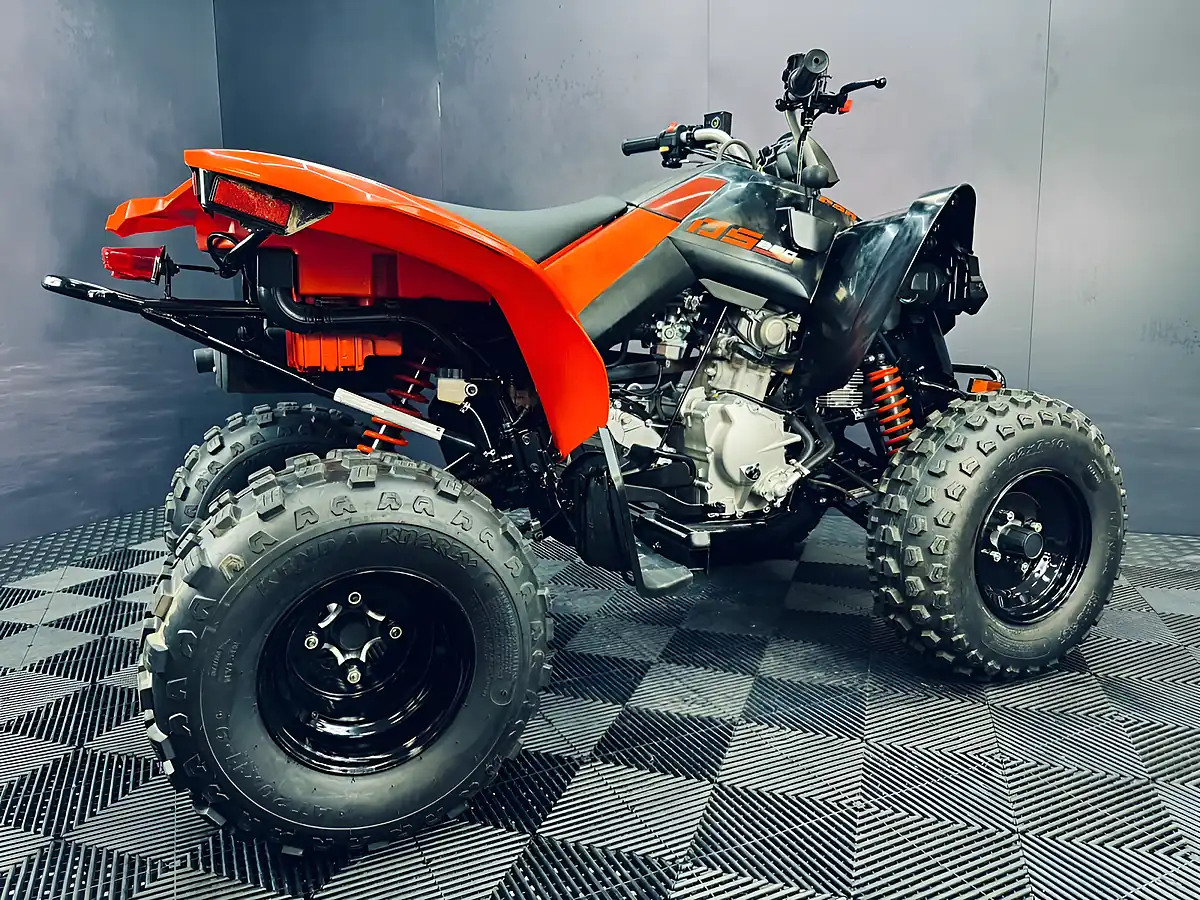 Used 2025 Can-Am DS 250 Red - Interior and Exterior details 11