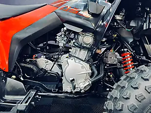 Used 2025 Can-Am DS 250 Red - Interior and Exterior details 13