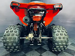 Used 2025 Can-Am DS 250 Red - Interior and Exterior details 15