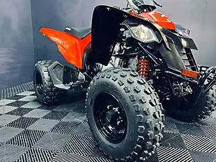 Used 2025 Can-Am DS 250 Red - Interior and Exterior details 16