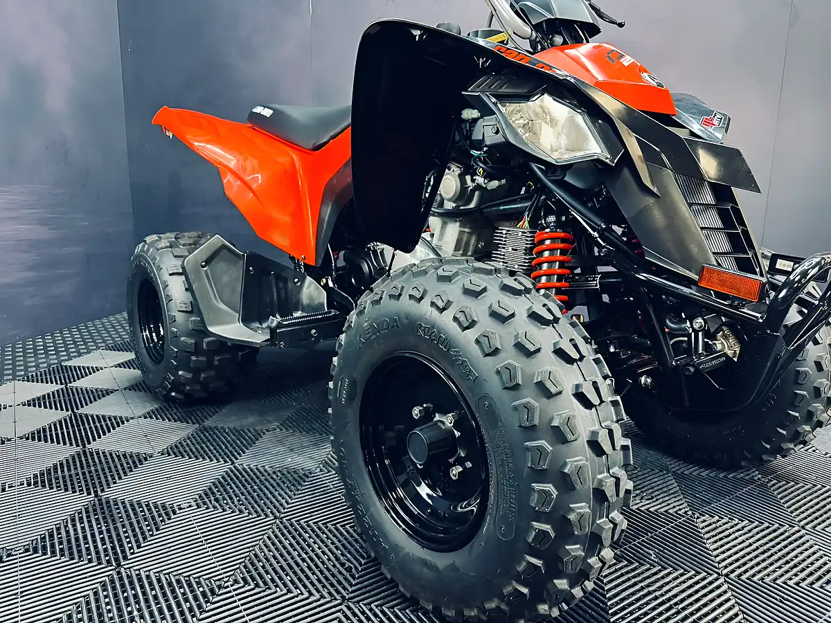 Used 2025 Can-Am DS 250 Red - Interior and Exterior details 16