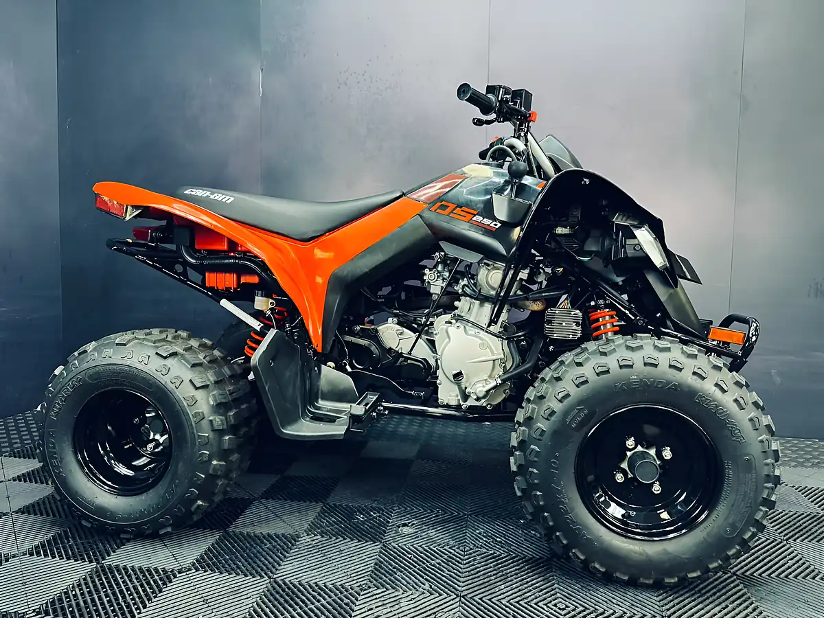 Used 2025 Can-Am DS 250 Red - Interior and Exterior details 2