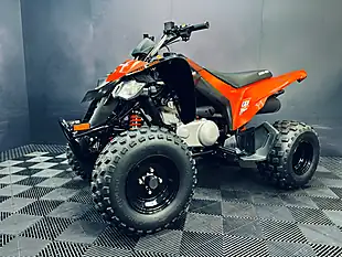Used 2025 Can-Am DS 250 Red - Interior and Exterior details 5