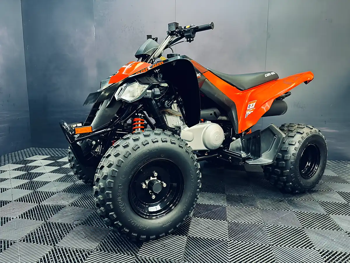 Used 2025 Can-Am DS 250 Red - Interior and Exterior details 5