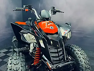 Used 2025 Can-Am DS 250 Red - Interior and Exterior details 8