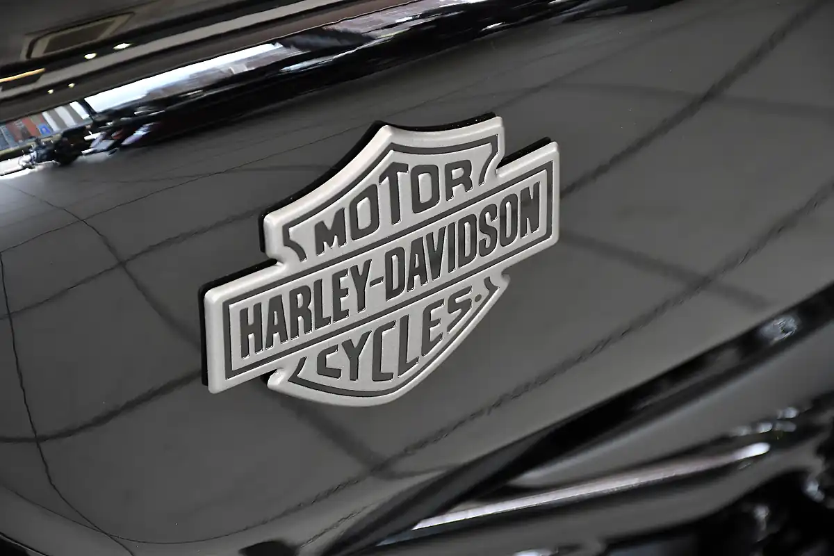 Used 2025 Harley-Davidson Nightster 975 Black - Interior and Exterior details 14