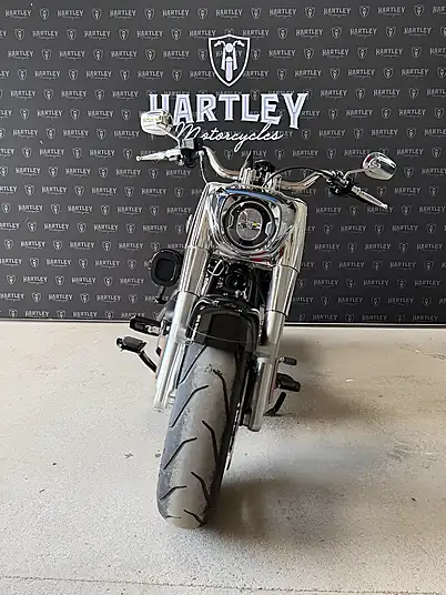 2025 Harley-Davidson Softail Fat Boy FLSTF