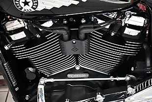 Used 2025 Harley-Davidson Softail Flstf Fat Boy Black - Interior and Exterior details 12