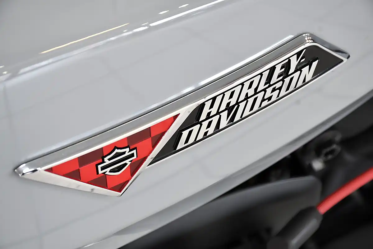 Used 2025 Harley-Davidson Sportster S Billiard Grey - Interior and Exterior details 10