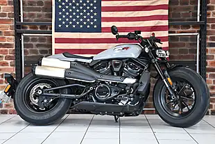 Used 2025 Harley-Davidson Sportster S Billiard Grey - Interior and Exterior details 6