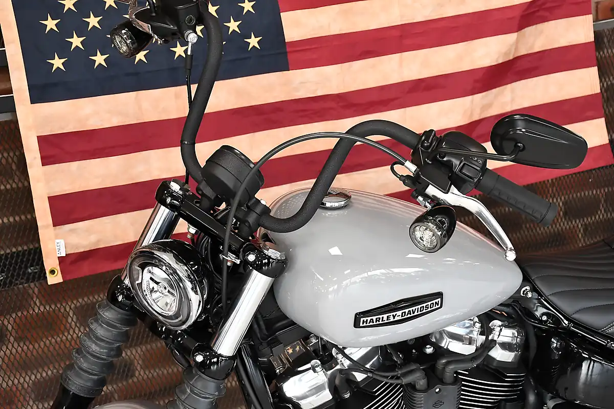 Used 2025 Harley-Davidson Street Bob Billiard Gray - Interior and Exterior details 10