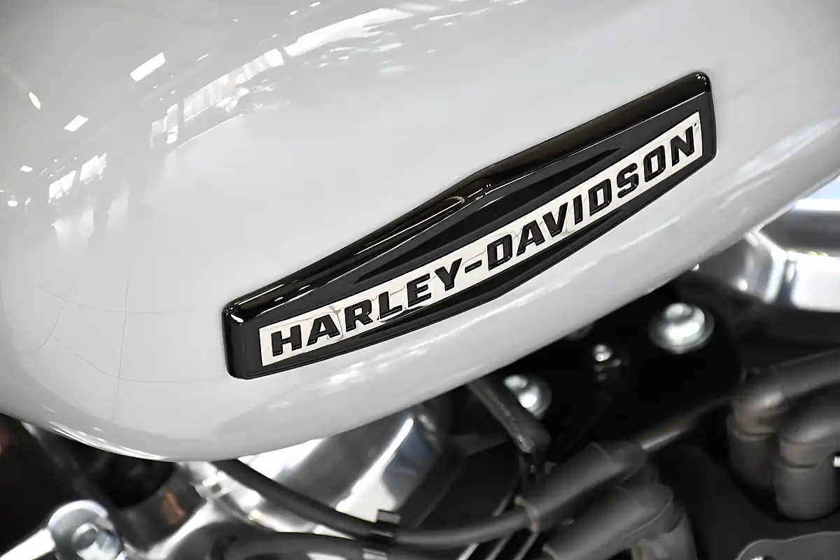 Used 2025 Harley-Davidson Street Bob Billiard Gray - Interior and Exterior details 11