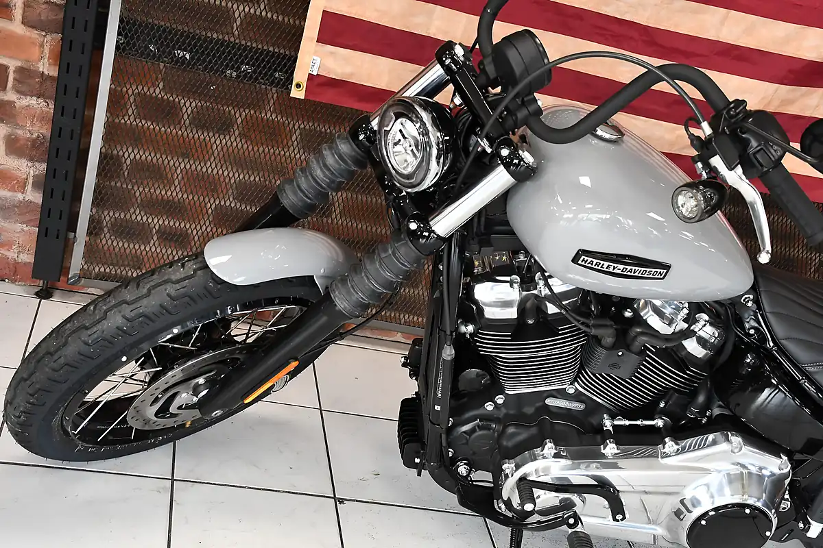 Used 2025 Harley-Davidson Street Bob Billiard Gray - Interior and Exterior details 14