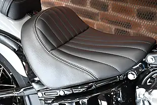 Used 2025 Harley-Davidson Street Bob Billiard Gray - Interior and Exterior details 16