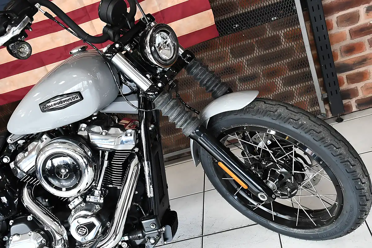 Used 2025 Harley-Davidson Street Bob Billiard Gray - Interior and Exterior details 18
