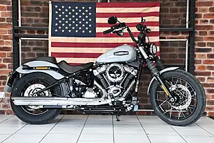 Used 2025 Harley-Davidson Street Bob Billiard Gray - Interior and Exterior details 7