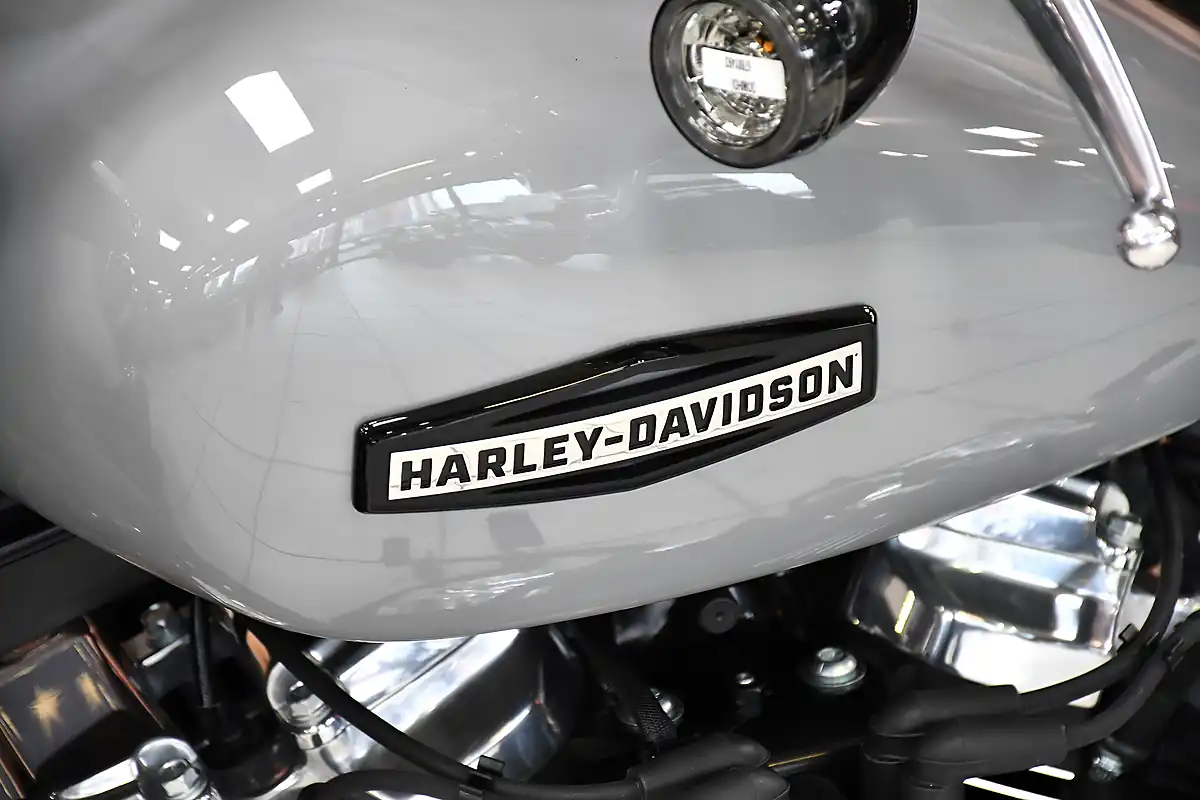 Used 2025 Harley-Davidson Street Bob Billiard Grey - Interior and Exterior details 15