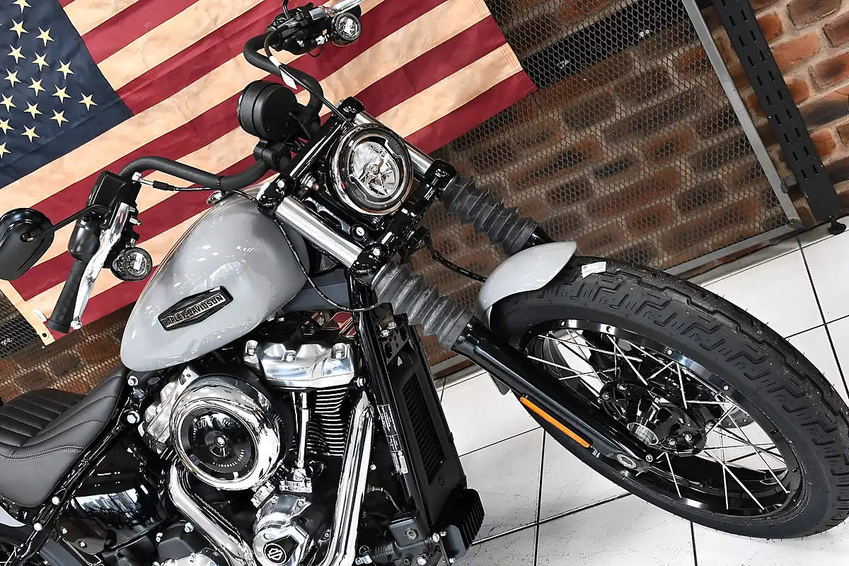 Used 2025 Harley-Davidson Street Bob Billiard Grey - Interior and Exterior details 4