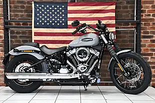 Used 2025 Harley-Davidson Street Bob Billiard Grey - Interior and Exterior details 6
