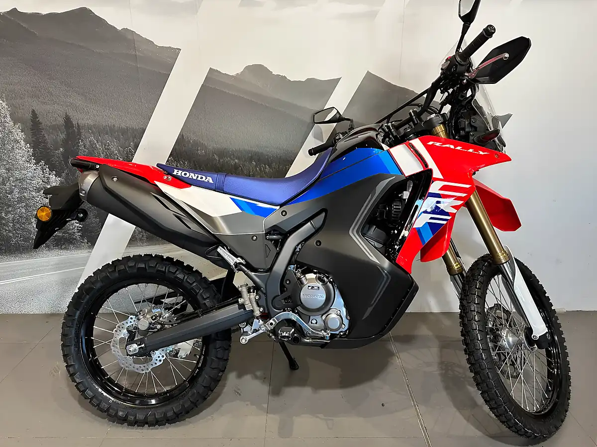 Used 2025 Honda CRF300 Rally 300 CRF300 Rally - Front View