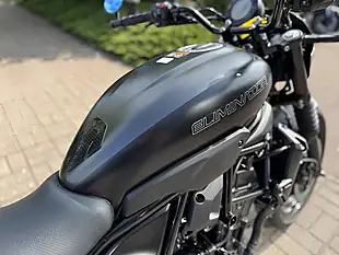 Used 2025 Kawasaki El 450 Brfnn Grey - Interior and Exterior details 10