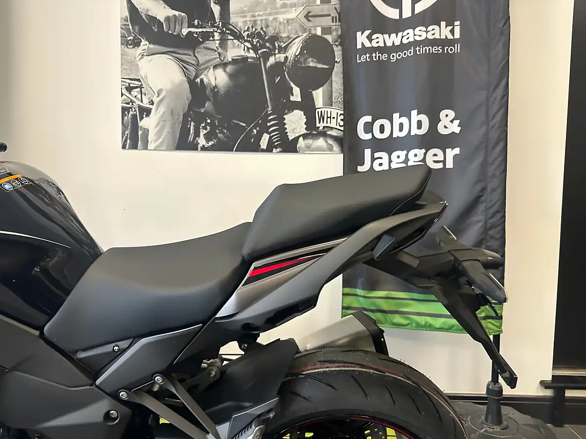 Used 2025 Kawasaki Ninja 1100 Sx Se Grey - Interior and Exterior details 18