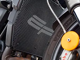 Used 2025 Triumph Street Triple RS Silver Ice - Interior and Exterior details 7