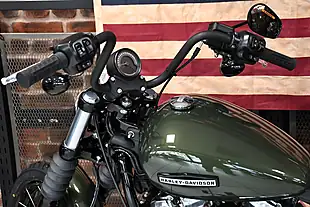 Used 2026 Harley-Davidson Street Bob Olive Steel Metal - Interior and Exterior details 9