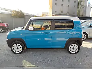 Used 2026 Suzuki Hustler G Summer Blue A7M - Interior and Exterior details 12
