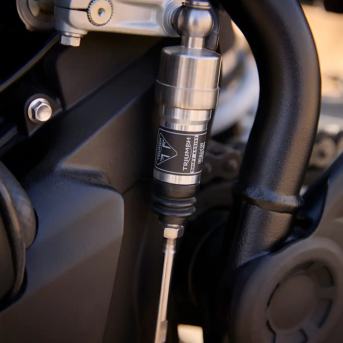 Used 2026 Triumph Tiger 900 Desert Edition Urban Grey / Sapphire Black - Interior and Exterior details 11