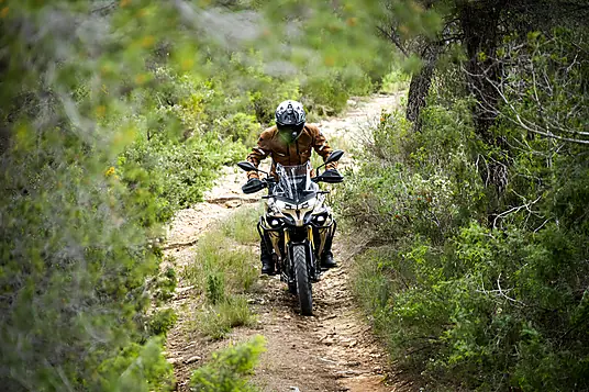 2026 Voge DS625X 581cc
