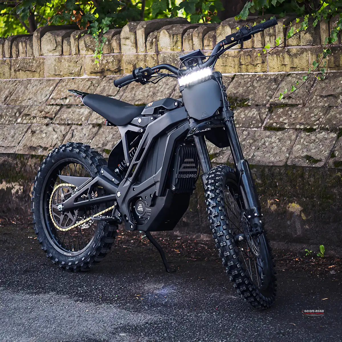 Used E Ride Pro Se Fatty - Interior and Exterior details 20