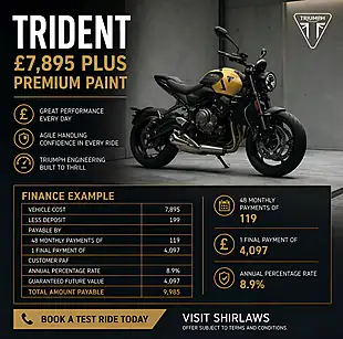 Used Triumph Trident 660 Stone Grey - Interior and Exterior details 2